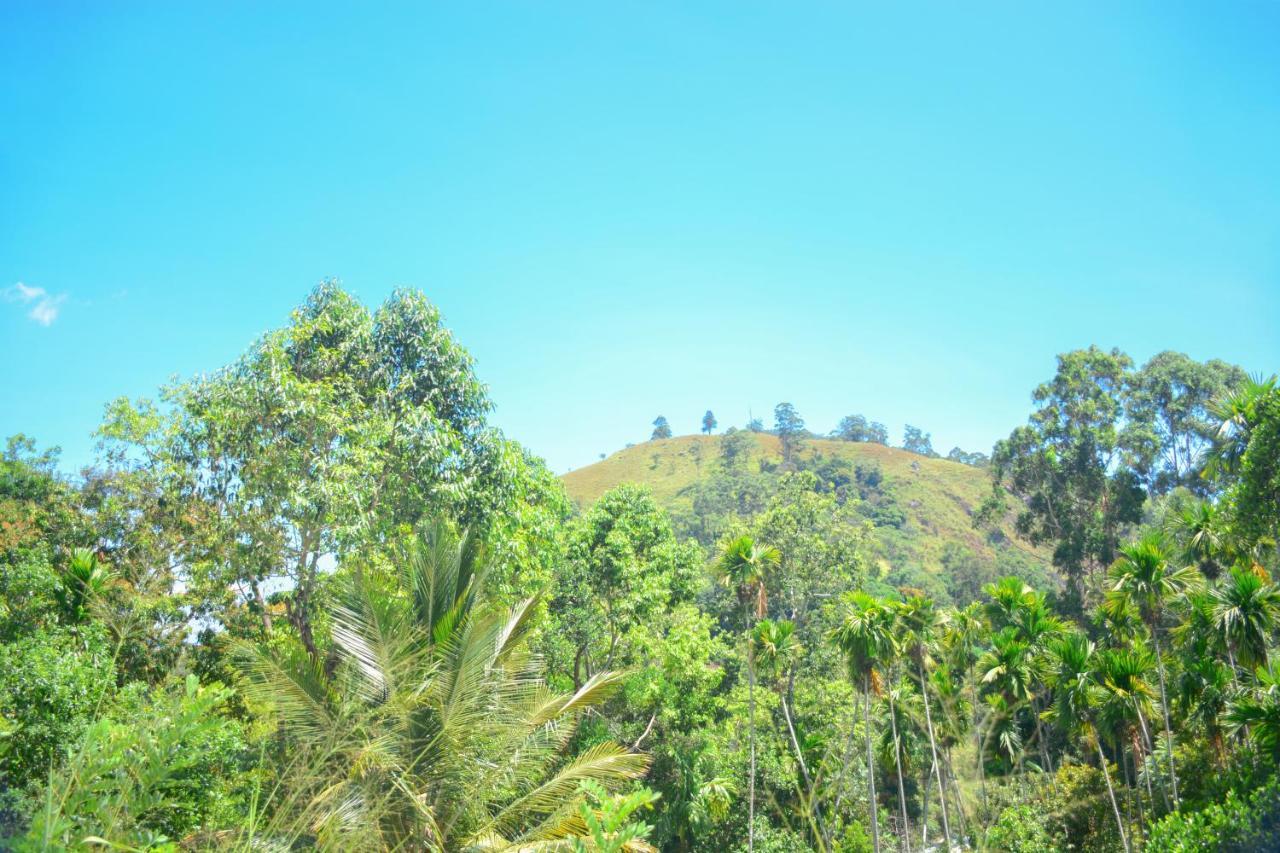 Ella Supreme Villa المظهر الخارجي الصورة